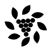 (c) Cantineferri.it